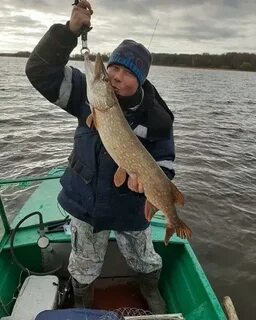 Щуки водохранилища