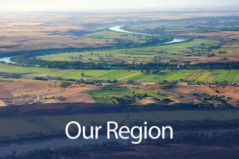 Protect animals. Worst states in usa. Our region 1. Our region 1. South west.