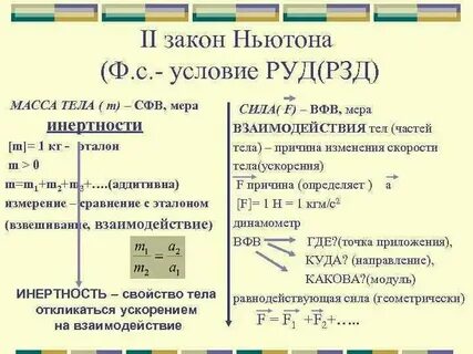 Человек и закон взаимосвязь