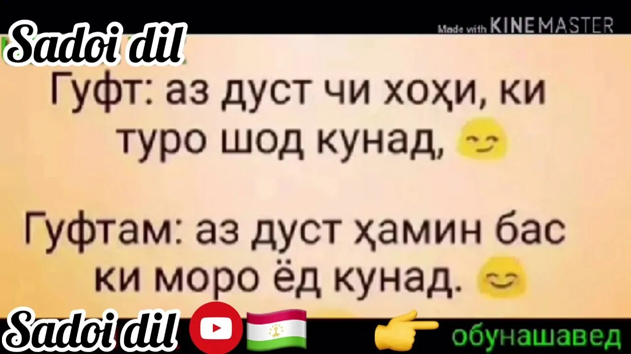 Шеър ба. Дусти чони Шер. Шер дуст точики. Салом Дустам. Шер барои дустони номард.