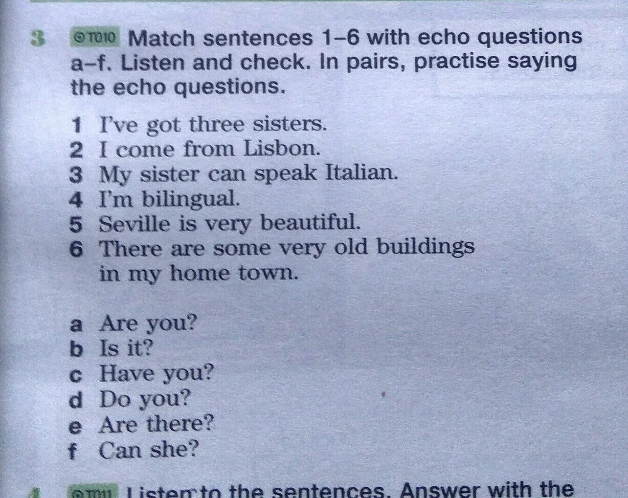 Вопрос эхо. Echo questions в английском. Эхо вопросы. Echo questions exercises. Echo- questions примеры.