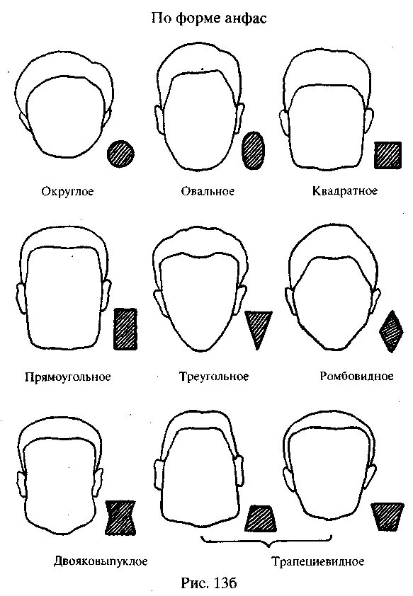 Формы голов. Форма черепа криминалистика. формы головы человека классификация. форма головы человека криминалистика. как определить форму лица человека.