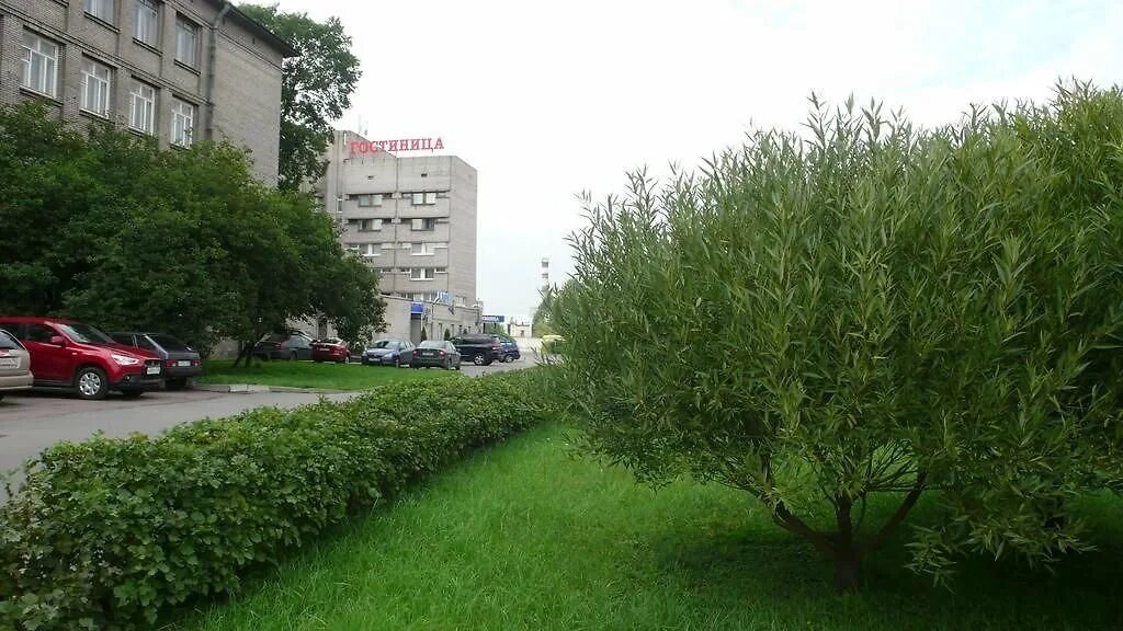 Корабельная 6 санкт-петербург. Нива св бассейн санкт-петербург. Красноярск кафе нива. Гостиница нива санкт петербург. Отель санкт-петербург на ниве.