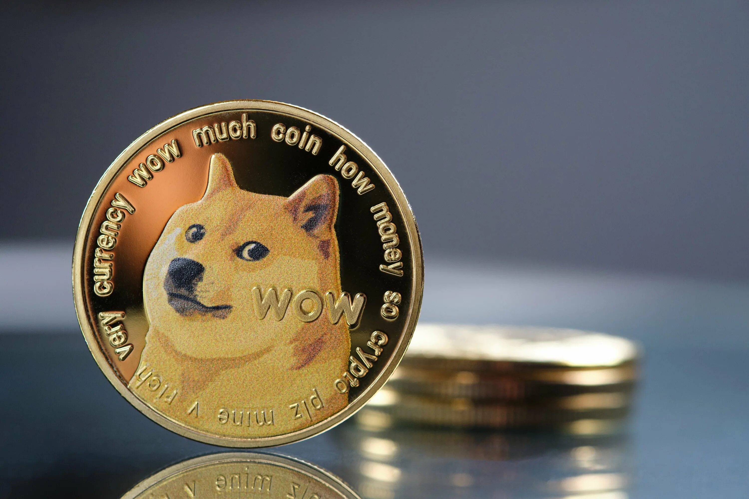 Доги коин цена. Dogecoin монета. Крипат Dogecoin. Догикоин логотип. Доги криптовалюта.