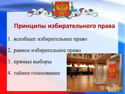Избирательное право избирательная кампания