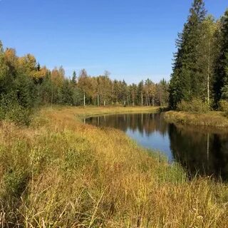 Погода в анциферово московская