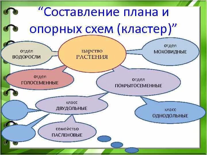 Коастреы по биологи. Кластер на уроках биологии. Прием кластер на уроках биологии. Как составить схему кластера.