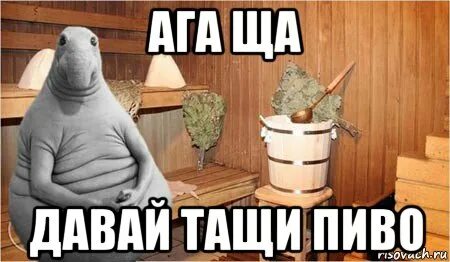 Давай тащи пустой