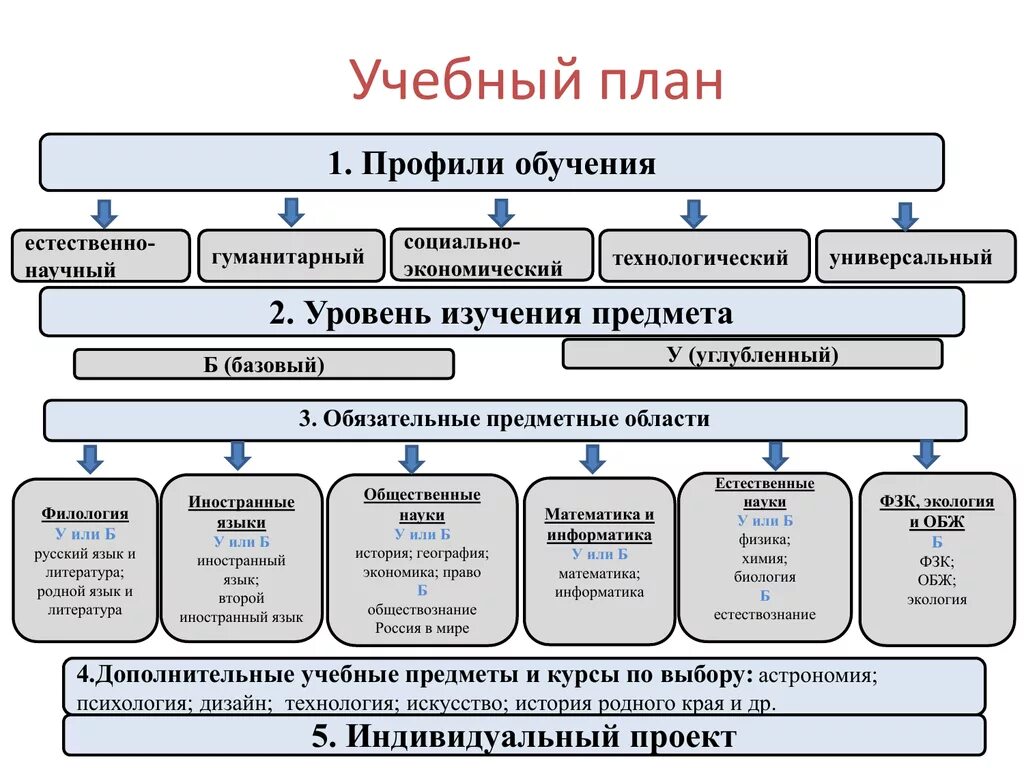 Предмет по выбору 7 класс. Профили обучения. Виды профильного обучения. Профили обучения в школе. Учебный план схема.