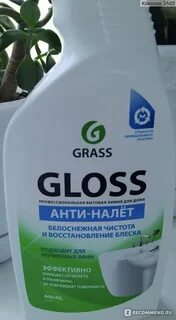 Gloss от налета