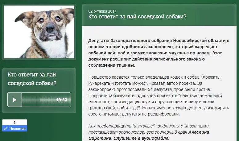 Какие действия принадлежат собаке которой сделали операцию. Жалоба на лай собаки в квартире. Лай соседской собаки. Жалоба на владельца собаки. Жалоба на лай соседской собаки.