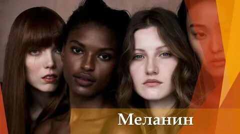 Количество меланина