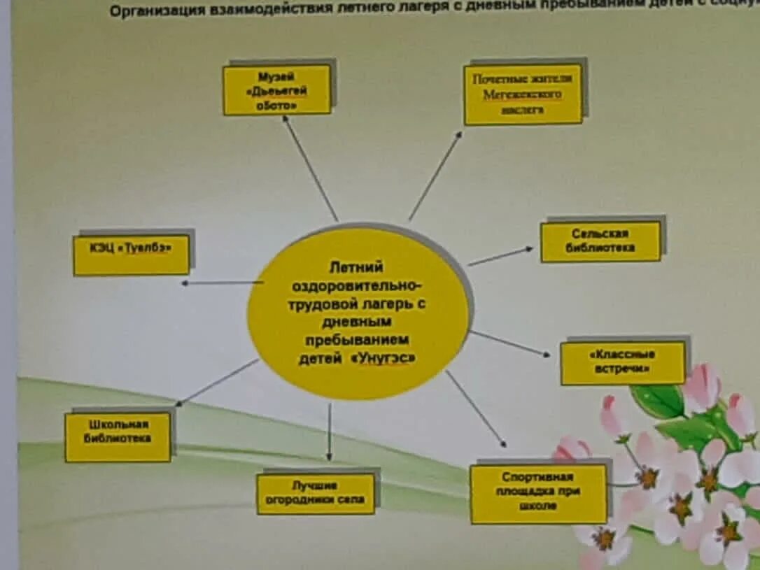 Деятельность по организации отдыха и оздоровления детей. Структура управления лагерем отдыха и оздоровления детей. Формирование Штатов организации отдыха и оздоровления детей.. Организационная система детского лагеря с путевками. Правовые аспекты организации детского отдыха в лагере.