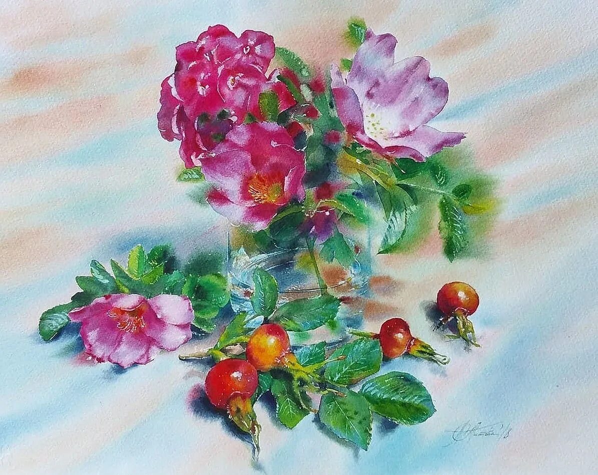 Цветы шиповника акварель. Куст шиповника акварель. Шиповник акварель. Ботаническая живопись шиповник. Ветка шиповника акварель.