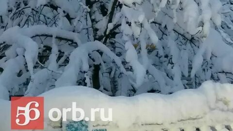 Завтра слабый снег
