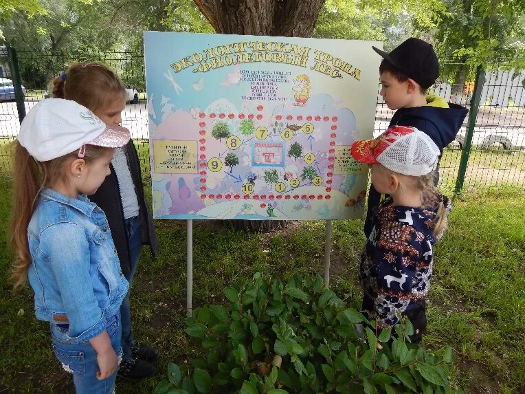 Экологическая тропа в детском саду. Экологическая тропинка в саду. Экологическая тропа для детей. Экологическая тропа в ДОУ. Занятие экологическая тропа средняя группа