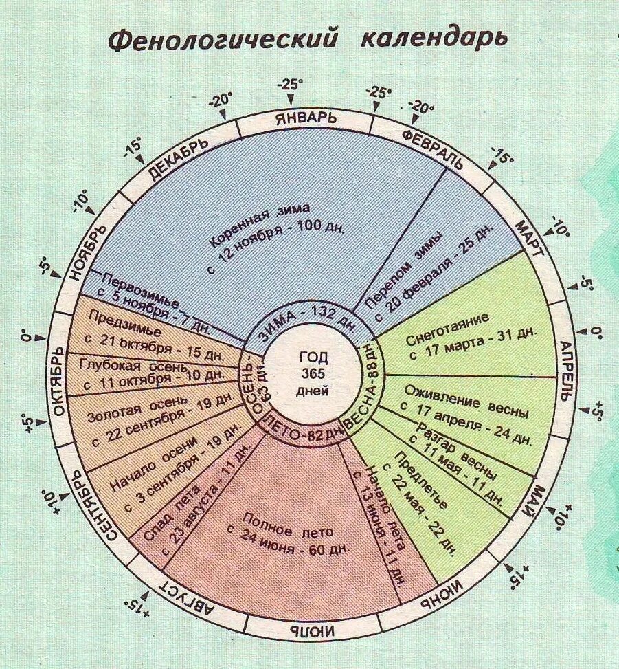 Фенологические наблюдения таблица. Фенологические изменения в природе рисунок. Фенологический календарь растений. Таблица фенологических наблюдений 5 класс. Фенологический календарь 3 класс.