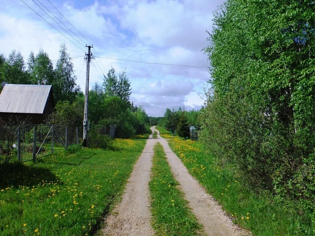 Погода в шапкино наро фоминский. Наро-фоминский городской округ, дачный посёлок шапкино парк,. Погода в шапкино наро фоминский. Погода в шапкино наро фоминский. Погода в шапкино наро фоминский.
