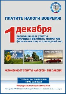 До какого месяца нужно оплатить налоги