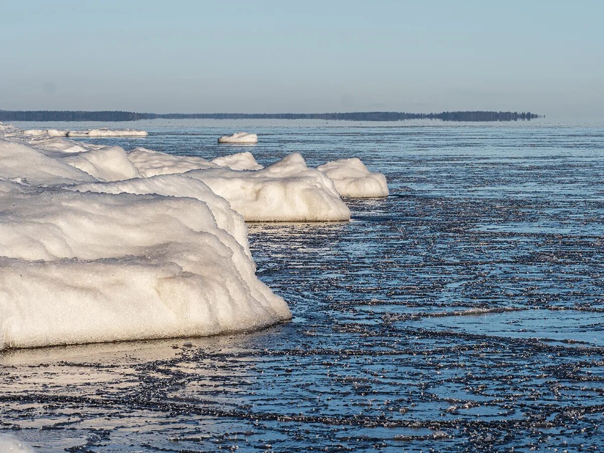 Онега зимой. Онежское озеро Петрозаводск. Онежское озеро зима. Онежское озеро зимой. Рождение Петрозаводска (Онего).