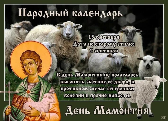 15 сентября день чего. День мамонтия 15 сентября. 15 сентября день мамонтия овчарник. день мамонтия народный календарь.