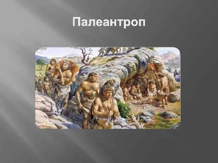 Гипотеза древности. Палеоантропы образ жизни. Архантропы жилища. Картина появления человека и природы. Как выглядела земля до появления людей.