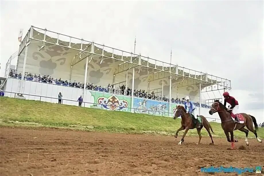 ипподром набережные челны каток. ипподром набережные. каток на мэрии набережные челны. праздник на конюшне. ипподром набережные.