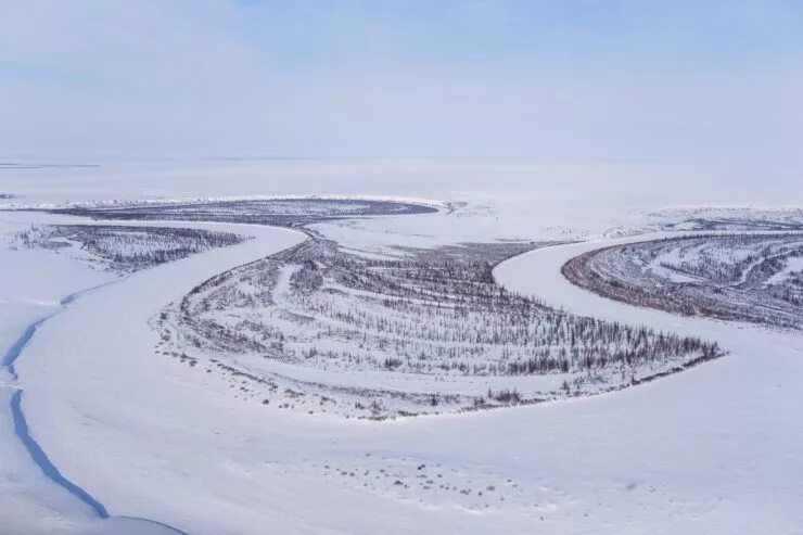 Западно-Мессояхское месторождение. Мессояха (река). Река Мессояха Тазовский район. Мессояха месторождение. Восточно мессояхское месторождение природная зона