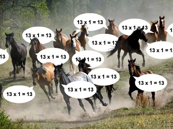 Лошади считают