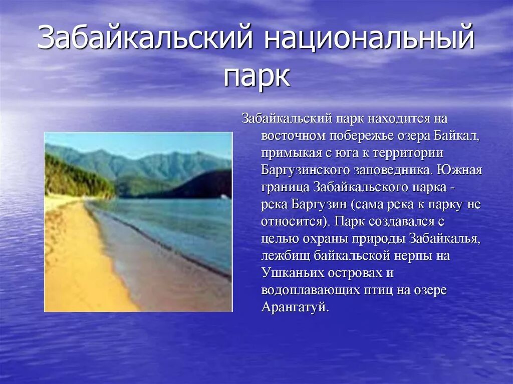 Забайкальский природный национальный парк. Забайкальский национальный парк проект. Доклад на тему Забайкальский заповедник. Забайкальский заповедник доклад.