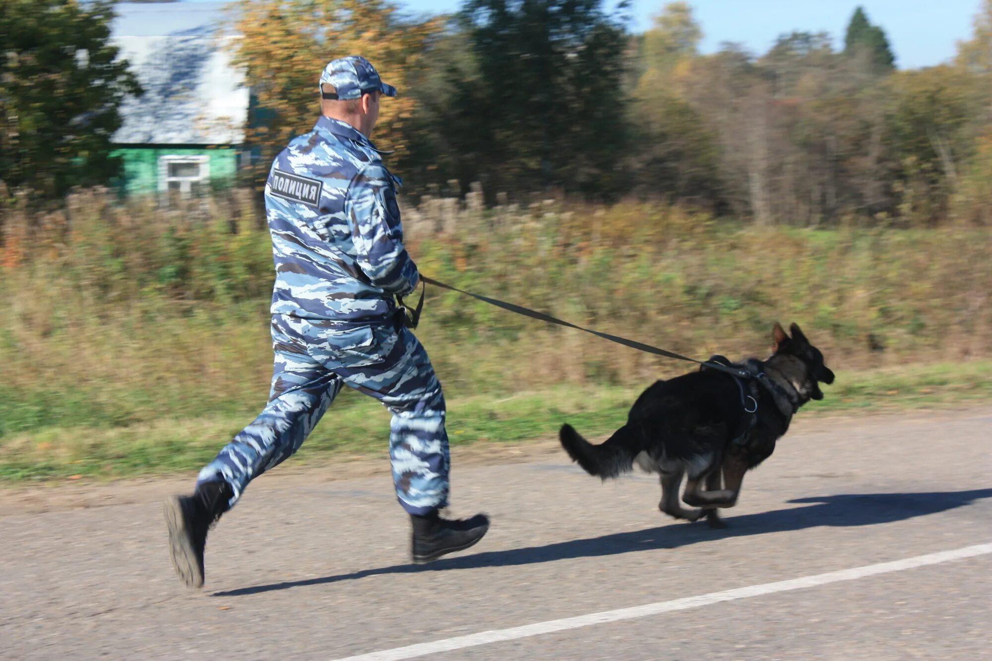 Кинолог в новгород. День кинолога росгвардия. Кинолог в новгород. Кинологи вологда. Андрей игнатов кинолог.