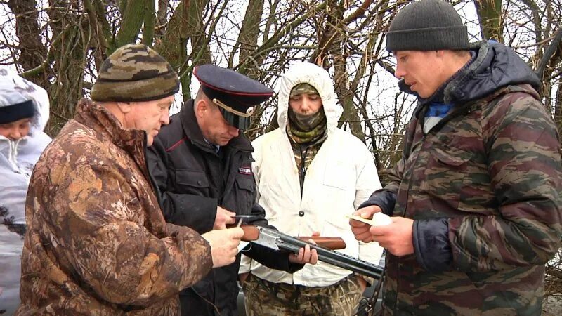 Организация по борьбе с браконьерством. Борьба с браконьерами в лесу.