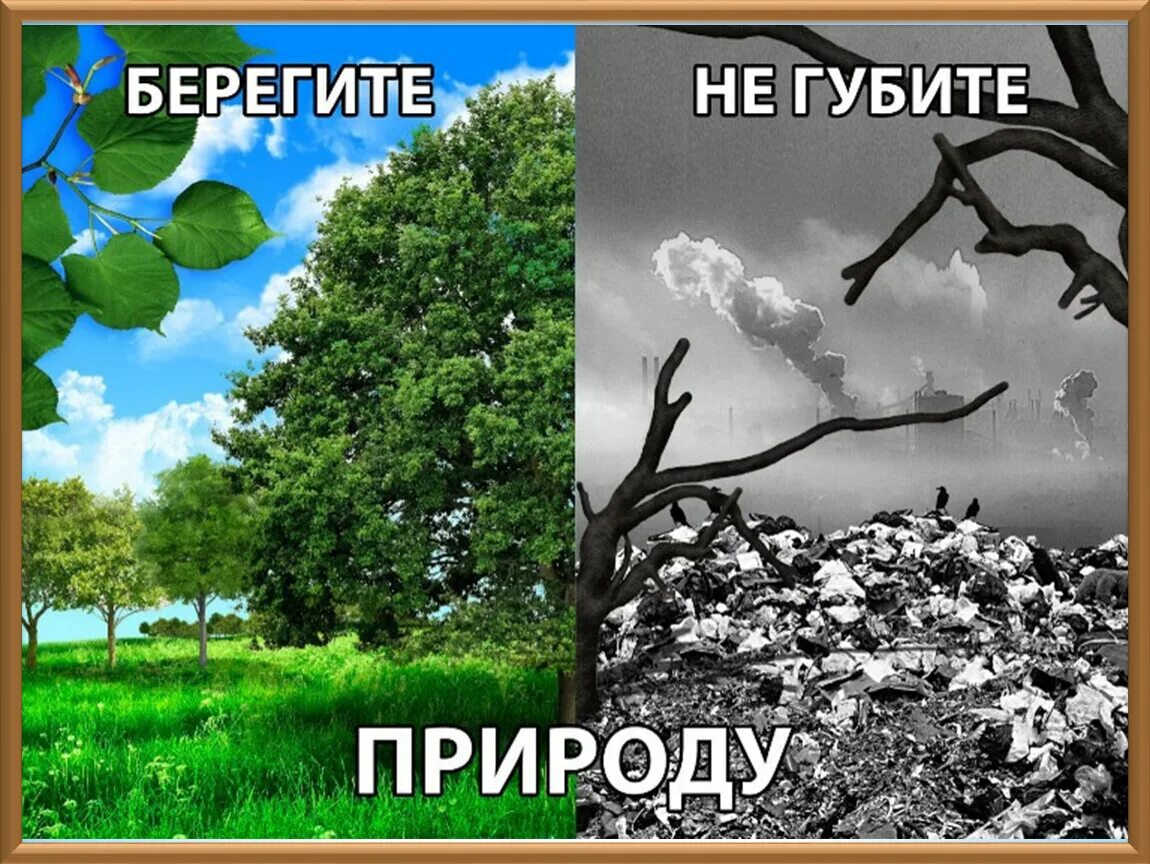 Beregat prirodu. Беречь природу. Экология берегите природу. Не губите природу. Любую окружающую среду будь