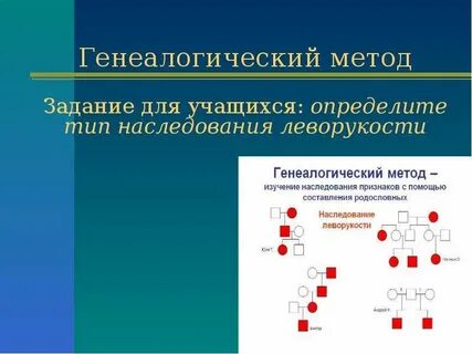 Признаки генеалогического метода