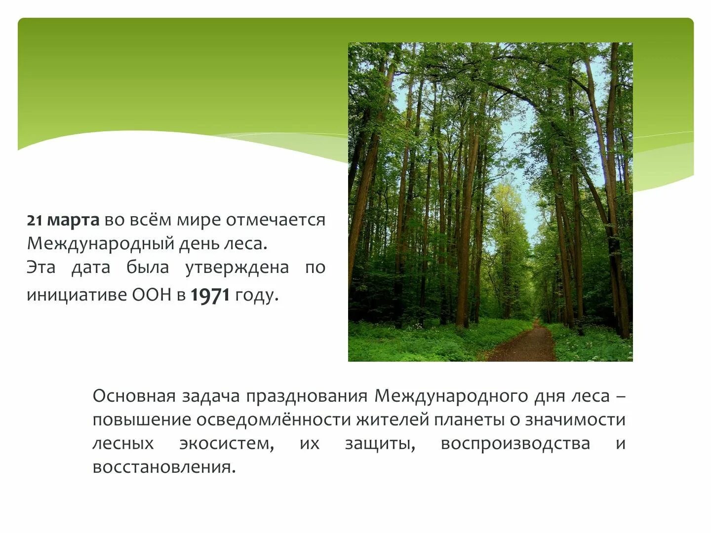 21 международный день леса. Доклад день леса. Международный день лесов доклад.
