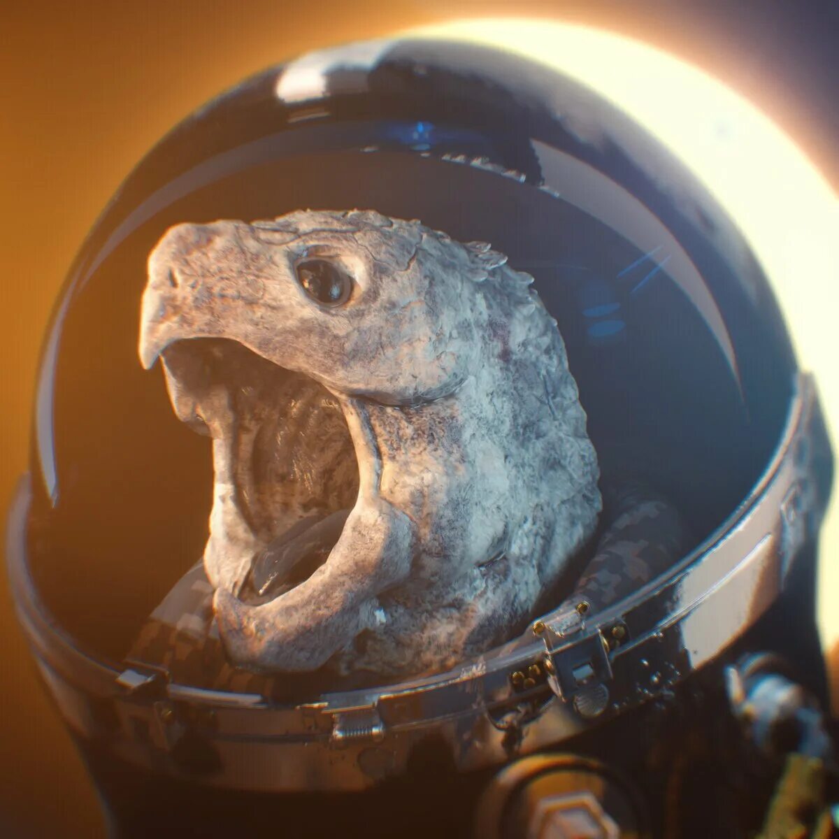 Луна живое существо. Черепахи в космосе 1968. Черепахи в космосе. Животные космонавты. Черепахи летали в космос.
