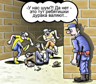 Приколы про дураков