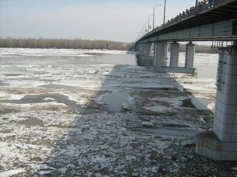 Обь весной. Ледоход в Колпашево 2023. Ледоход на оби сегодня