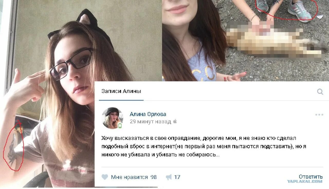 хабаровские живодерки переписки. хабаровские живодерки: алина орлова, алена савченко. двач хабаровск. двач хабаровск. двач хабаровск.