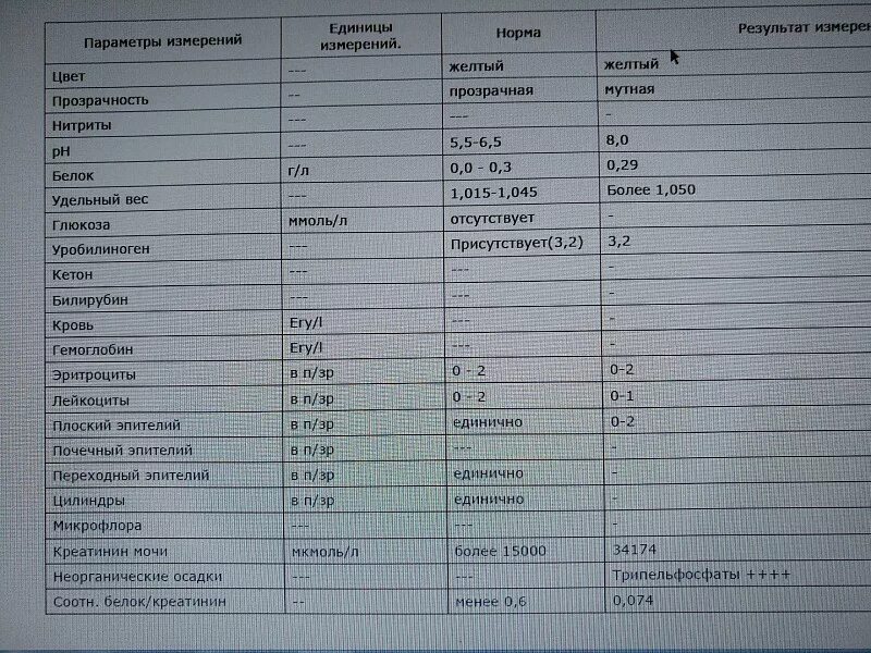 Анализ мочи кошки норма. Показатели мочи у собак норма таблица. Анализ мочи у котов норма. Кровь в моче норма.