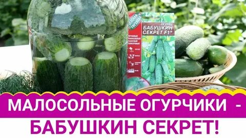 Бабушкины огурцы