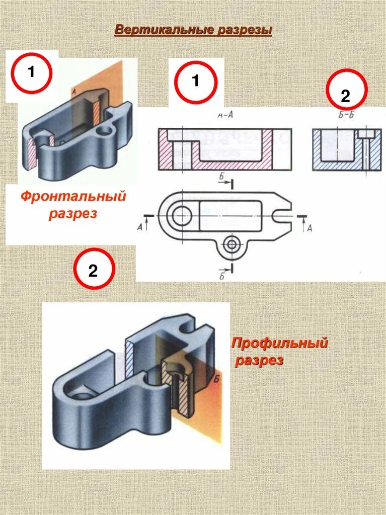 Вертикальный разрез изображение. Вертикальный разрез изображение. Вертикальный фронтальный разрез на чертеже. Начертить профильный разрез 2. Вертикальный фронтальный разрез.
