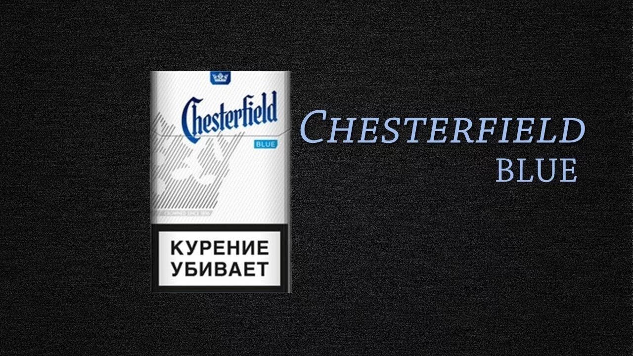 Сигареты Честер Честерфилд. Честер компакт Блю. Сигареты Chesterfield Compact Blue. Chesterfield Blue MT сигареты.