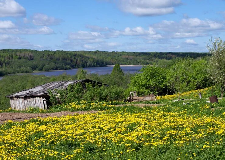 детский сад кубики пригородный простор. квартал сегаловича. простор 2. просторы 2 череповец октябрьский.
