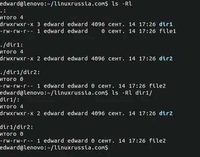 Linux владелец папки
