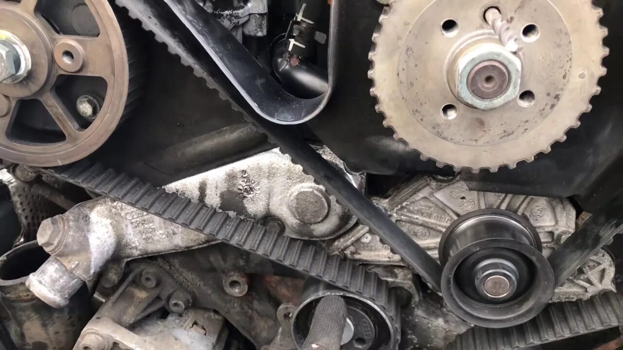 Audi a6 c5 2. 5 тди. грм ауди а6 с5. 4 alf грм. 2.