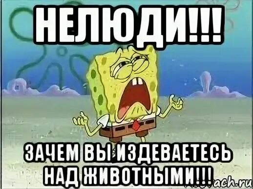 Почему издеваюсь
