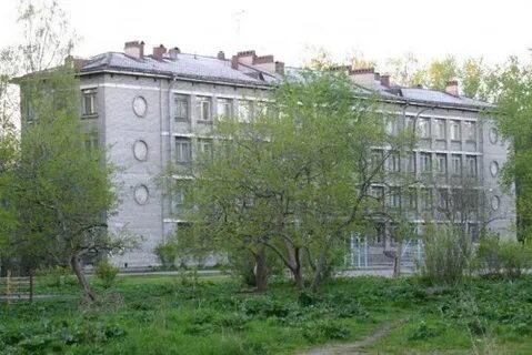 Гимназия 498