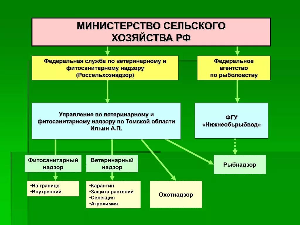 Структура организации ветеринарии в РФ. Схемы: «структура государственной ветеринарной службы РФ». Структура Министерства сельского хозяйства. Организационная структура Министерства сельского хозяйства.