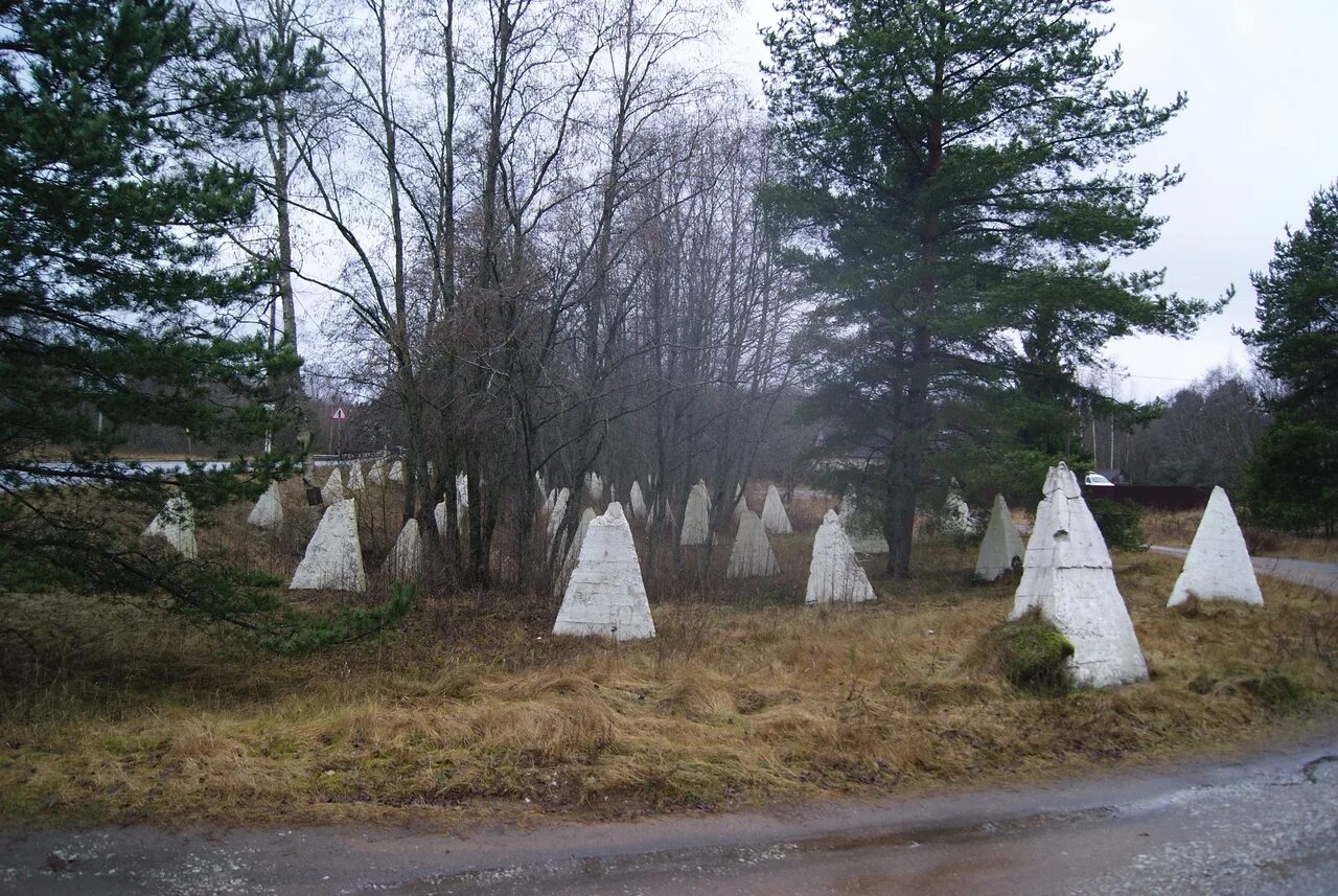 Зубы дракона киев. Зубы дракона линия Маннергейма. Зубы дракона Карельский перешеек. Зубы дракона Медвежьегорск. Зубы дракона противотанковые Карелия.